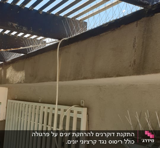 דוקרנים למניעת יונים על קורות עץ וקיר
